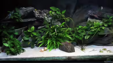 Becken 4160 von Marco Hunziker