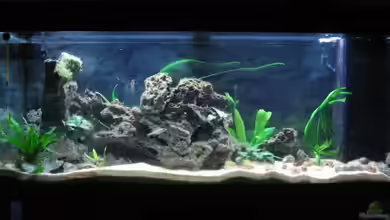 Becken 4210 von Michael Häberle & Jane Lindenlaub