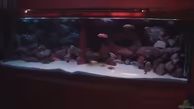 Becken 422 nur noch Beispiel von Frank Hopp