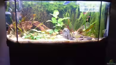 Becken 4264 von Marius Grzesko