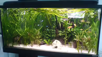 Becken 4290 von Oliver Röder