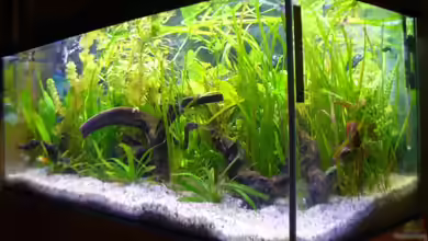 Becken 4311 von Daniela Rathgeb