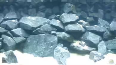 Becken 4387 von Mario Podleschny