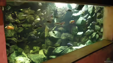 Becken 4449 von Jan Krüger