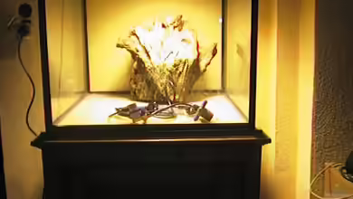 Becken 4479 von Michael Spitzer