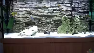 Becken 45 von Markus Kruse