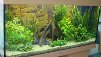 Becken 4510 von Katja Tyka