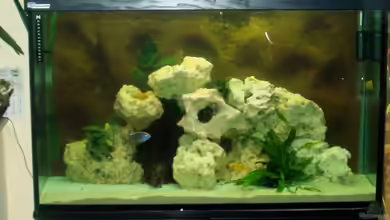 Becken 4516 von Matthias Hentzschel