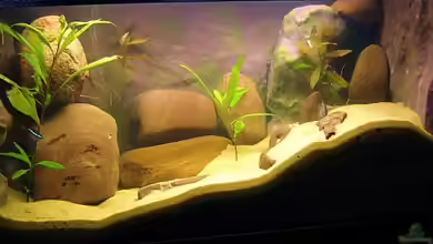 Becken 4522 von Dennis Klusmann