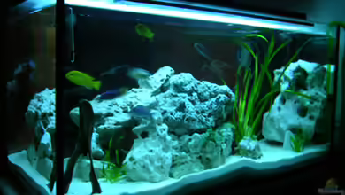 Becken 460 von Sascha Bill