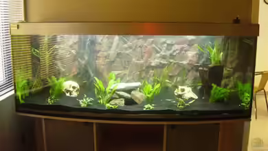 Becken 4645 von Guido Klein