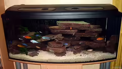 Becken 470 von André Moll