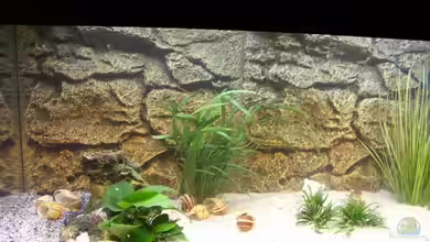 Becken 472 von Markus Riedel