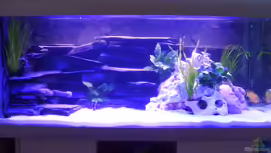 Becken 4779 von Marc Weise Manuela Schmidt &