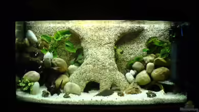 Becken 4787 von Manuel Hammes