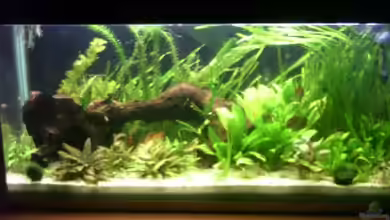 Becken 4789 von Marcus Wendt