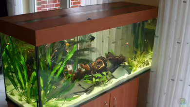 Becken 4801 von Thomas Rehkemper