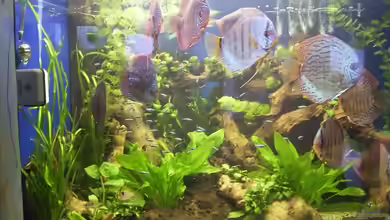 Becken 4836 von Sebastian Büttner