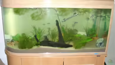 Becken 4849 von Andreas Müller