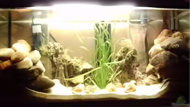 Becken 4945 von Jörg Rühlemann