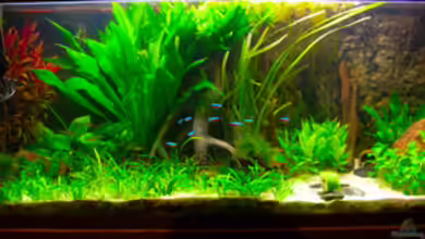 Becken 5034 von Mathias Möller