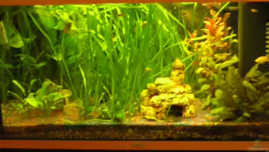 Becken 5143 von Martin Netek