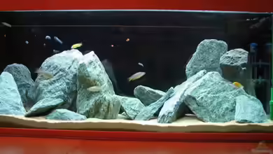 Becken 5164 von Markusch85