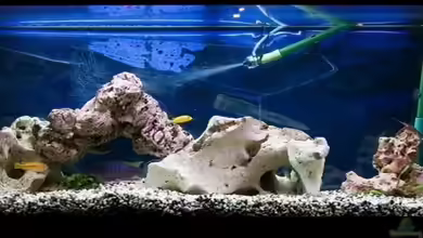 Becken 5193 von Volker Katers