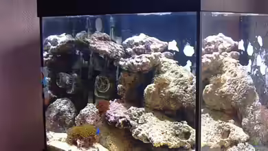 Becken 5200 von Benjamin Burzlaff