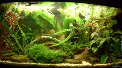 Becken 5274 von Matthias Schuster