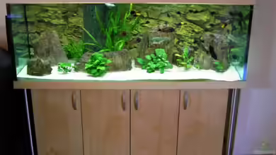 Becken 5280 von Enrico Pinkert