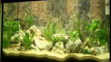 Becken 532 von Frank Blessing