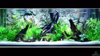 Becken 5408 von Andreas Böhme