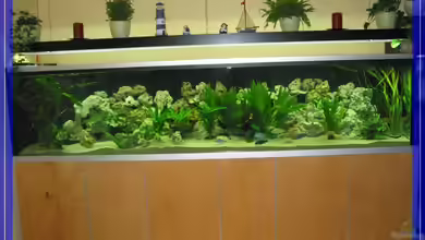 Becken 5513 von xtommix