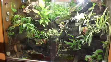 Becken 5515 von Stephanie Schalk