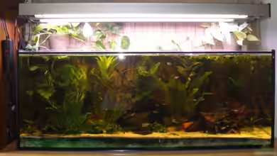 Becken 5524 von Lars Lange