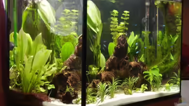 Becken 5559 von Stefan Danner