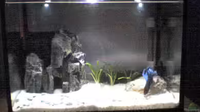 Becken 5645 von Patrick Schmitt