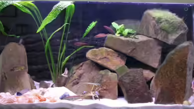 Becken 566 von Alexander Hinz