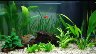 Becken 5681 von Chris 81