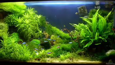 Becken 5691 von Marc Joist