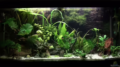 Becken 5730 von Basti.hh