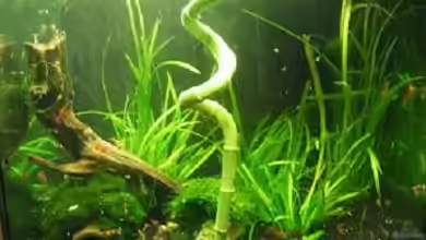 Becken 5737 von Kristin Bönisch