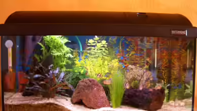 Becken 5768 von Peter Brendel