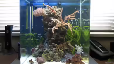 Becken 5843 von Petra Kallmeyer