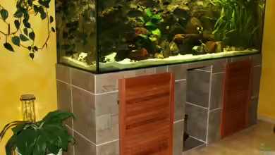 Becken 588 von Katrin Rätz