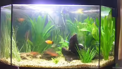 Becken 5893 von Thomas Hauschildt