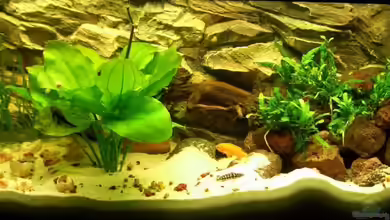 Becken 5944 von Dominik Herz