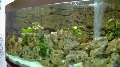 Becken 5959 von Heiko Röder