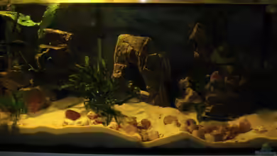 Becken 5962 von Chris Wittemann